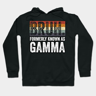 Bruh Formerly Known as Gamma Vintage Hoodie